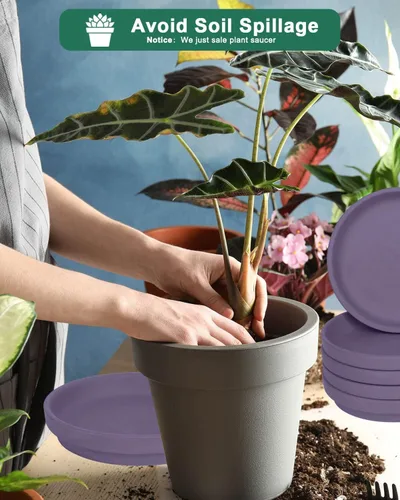 Vista 4 de vensovo Bandeja de Platillos para Macetas de Terracota Morada de 8 Pulgadas - 4 Piezas de Platillos Redondos para Maceteros para Plantas