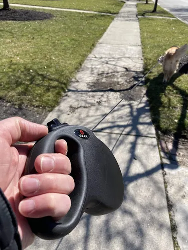 Vista 5 de Enthusiast Gear Correa retráctil para perros grandes y medianos con mosquetón de bloqueo Correa de poliéster reflectante fuerte de 16 pies, 1