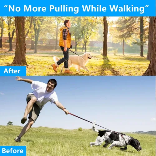 Vista 2 de Collar de entrenamiento para perros, collar de martingala para perros grandes, medianos y pequeños