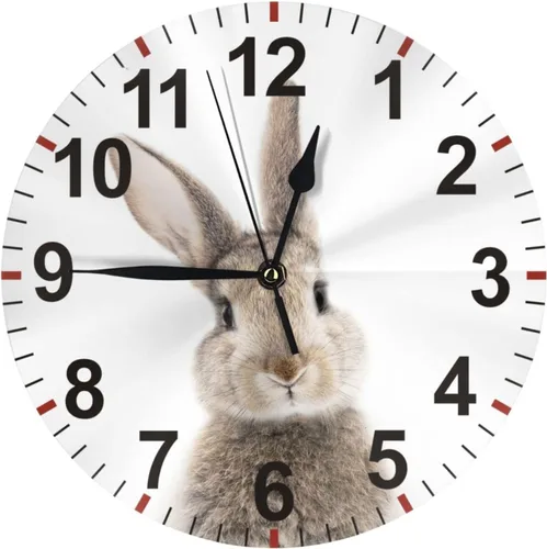 Vista 7 de Reloj de pared lindo conejo gris de 10 pulgadas, funciona con pilas, silencioso, sin tictac, reloj de pared redondo de cuarzo, para el hogar Lindo