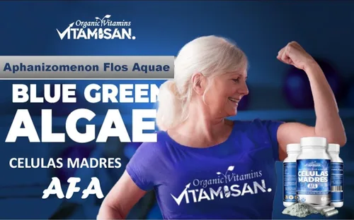 Vista 5 de VITAMISAN 4 Celulas Madres Stemcells Celula AFA Blue Green Algae - Aphanizomenon Flos-aquae -Anti-Envejecimiento 240 Cápsulas