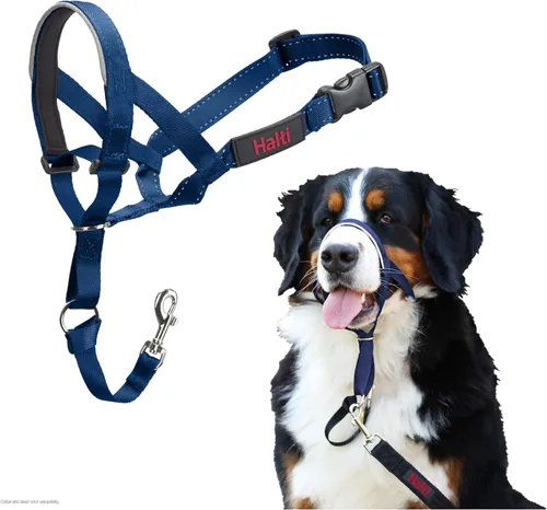 Vista 24 de Collar Halti - Detén a tu perro de tirar de la correa. Ajustable, reflectante y ligero, con banda nasal acolchada. Collar anti-tirón de Negro