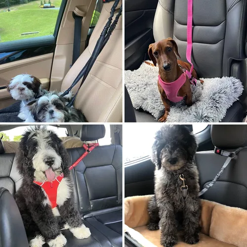 Vista 7 de BWOGUE Arnés de cinturón de seguridad para mascotas, cinturón de seguridad ajustable para reposacabezas de coche, arnés de cinturón de seguridad