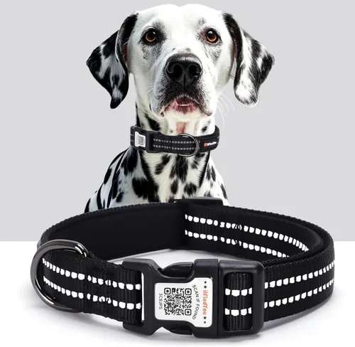Vista 21 de Collar de perro personalizado ilFindYou con etiqueta de código QR para identificación de mascotas, collar reflectante de seguridad, adecuado