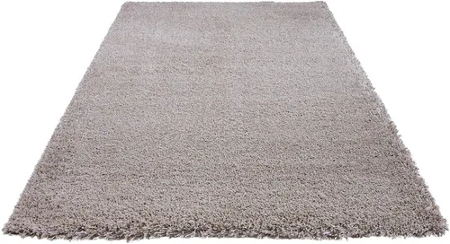 Vista 4 de Colección de alfombras súper suaves (4 x 5, beige)