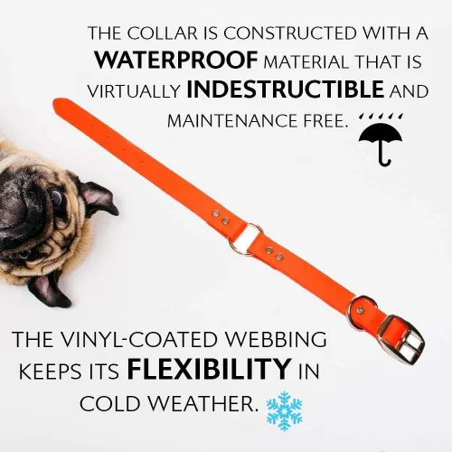 Vista 8 de Regal Dog Products Collar de Perro Naranja Mediano con Placa de Nombre Grabada Personalizada - Ajuste Personalizado, Resistente, Fácil de Limpiar