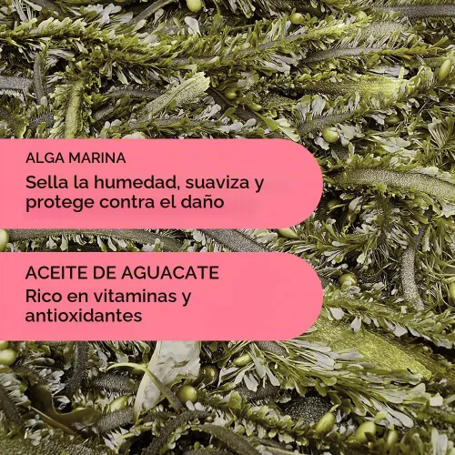 Vista 6 de Noughty Acondicionador definidor 97% Natural Wave Hello Curl para acondicionar, suavizar y definir los rizos con extracto de algas marinas y aceite
