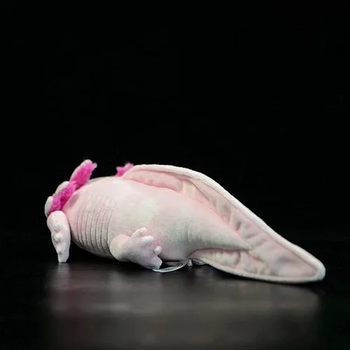 Vista 3 de Tiny Heart Peluche de Axolotl, animal de peluche, bonito juguete de peluche realista con ambistoma, regalos para niños, 18 pulgadas de largo