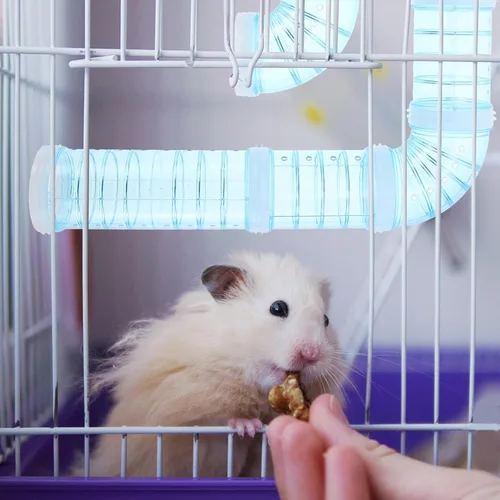 Vista 8 de Juego de tubos para hámster, conector externo de túnel de jaula para hábitats de animales pequeños, extensión duradera de laberinto para hámsters