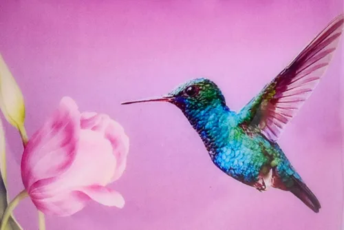 Vista 4 de BOLD & DIVINE Urna de cremación de colibrí morado para adultos para cenizas humanas, urna conmemorativa de aluminio, 200 pulgadas cúbicas