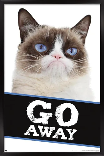 Vista 8 de Trends International Grumpy Cat - Póster de pared con texto en inglés «Go Away», 14.725 x 22.375 pulgadas, versión enmarcada de madera de granero