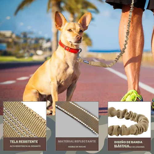 Vista 2 de AUROTH Correa elástica resistente para perros de razas grandes, sin tirones para absorción de golpes con cinturón de seguridad del automóvil, 2 asas