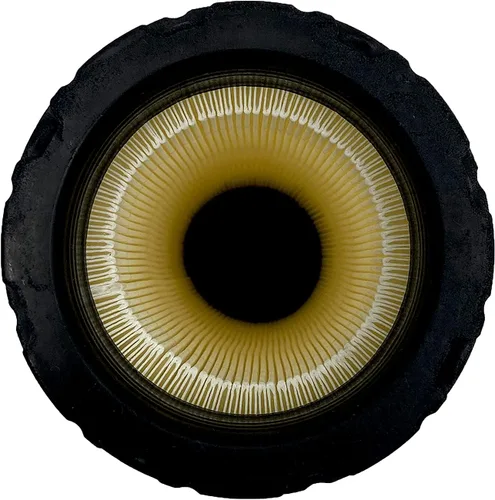 Vista 5 de TORQUE 30-00426-27 Transportador de filtro de aire Transicold Reefer Thermo King Cortacésped Tractores Bobcat Cargadoras Reemplaza AF26168 300042627