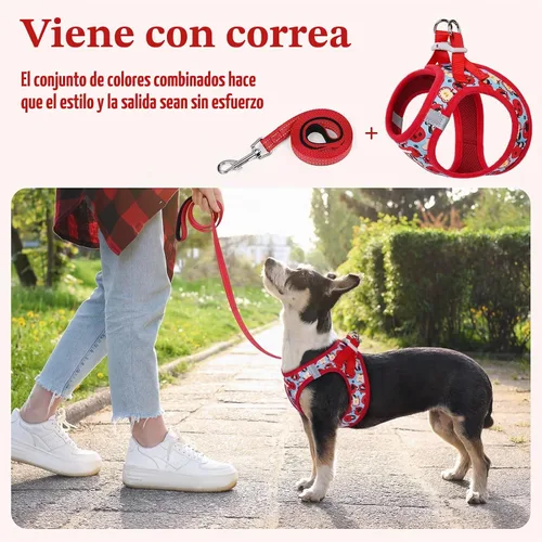 Vista 6 de rabbitgoo Arnés para perro de tamaño pequeño y juego de correa, chaleco Cachorros de manzana
