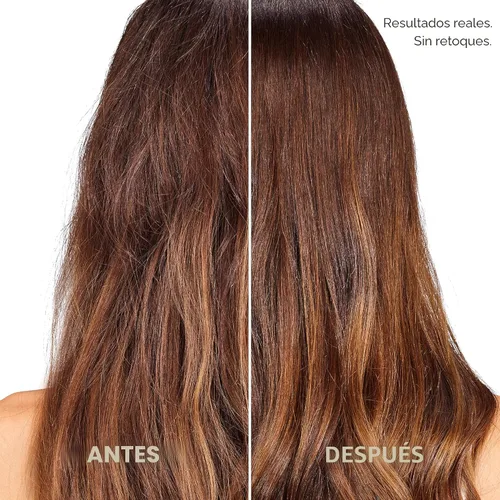 Vista 6 de L'Oreal Paris Champú y acondicionador espesante sin sulfato, espesa y fortalece el cabello fino y frágil, EverPure, 1 kit de cuidado del cabello