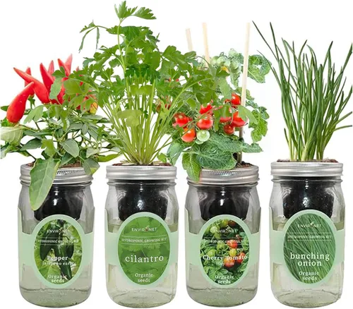 Vista 9 de Kit de cultivo de hierbas hidropónicas, tarro de masón de riego automático, kit de inicio de jardín de hierbas para interiores, cultiva 4 tipos de 2