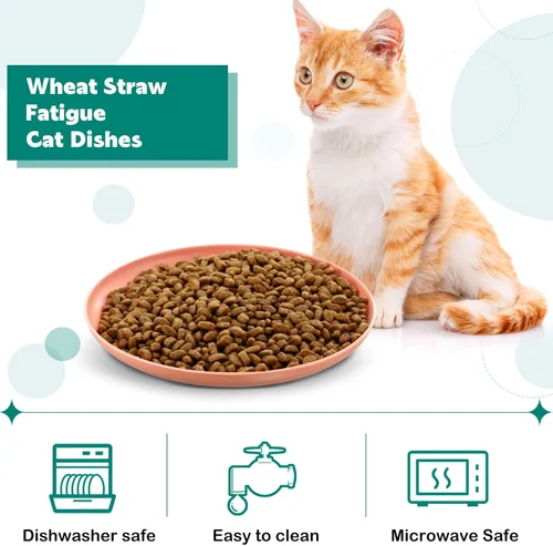 Vista 3 de Gerrii 12 cuencos redondos de 6 pulgadas para aliviar la fatiga de la barba, platos húmedos para gatos de 6 pulgadas, platos anchos y pequeños