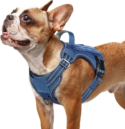 Vista 51 de rabbitgoo - Arnés para perros pequeño sin tirones, chaleco táctico de servicio con Molle y asa de control, arnés militar ajustable y reflectante