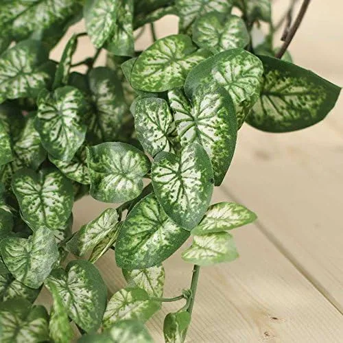 Vista 3 de Factory Direct Craft Arbusto de hiedra artificial abigarrado para decoración del hogar y exhibición Hanging Baskets, Planters, Garden