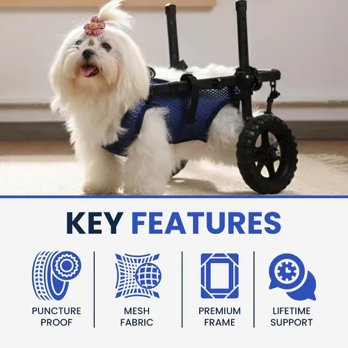 Vista 5 de Silla de ruedas para perros para patas traseras, carrito de silla de ruedas para perros, sillas de ruedas para perrito/gato con patas traseras