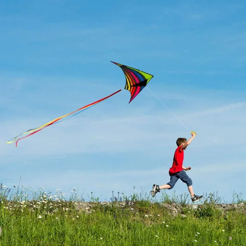 Vista 4 de Mint's Colorful Life Easy to Fly Delta Kite and Kite - Bobinador de carrete con cuerda de 600 pies