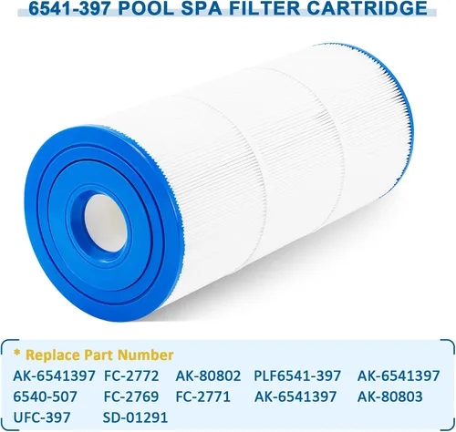 Vista 5 de 6541-397 Filtro de spa para piscina compatible con filtro Sundance 880 2009-2023 (exterior 6473-165 e interior 6473-164), repuesto para filtro