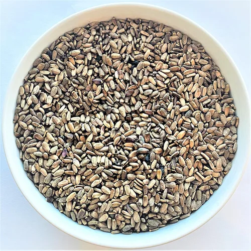 Vista 2 de Semilla de cardo mariano crudo silvestre de 8 oz Silybum Marianum The Bloomin Herb Shoppe