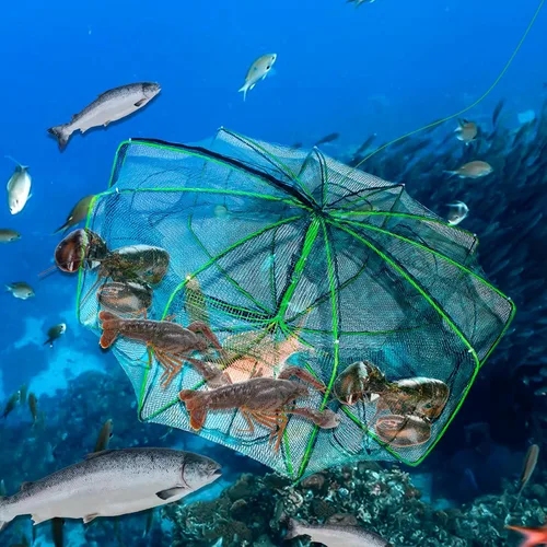 Vista 5 de Trampa de cebo de pesca de 10 lados, 10 agujeros, 32 x 10 pulgadas, redes de pesca plegables portátiles para cangrejos Minnow Crab Shrimp Crawdad