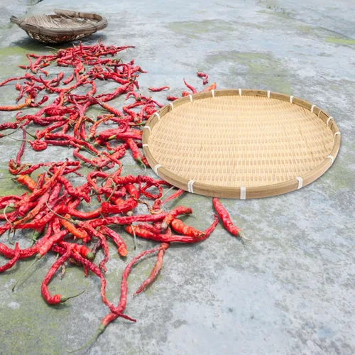 Vista 8 de NOLITOY Cesta tejida de bambú redonda para pan, cesta de comida plana de mimbre, cesta de frutas de mimbre poco profunda, cesta para servir