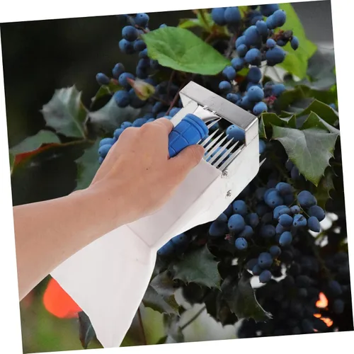 Vista 4 de Ipetboom Blueberry Tools Dibbler Berries Tool Rastrillo de hojas Frutas Recogedor de bayas y Rastrillo Suministros Recogedor de Fresas Mango Poste