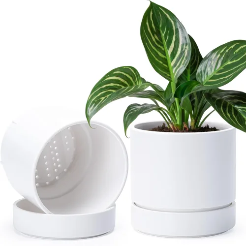 Vista 19 de Phoenix Vine 4 Inch Planter Pot with Drainage Hole & Saucer, Deep Water Catch Tray, Straight Cylindrical Round Pot for Plants, Olive, Pack of 1
