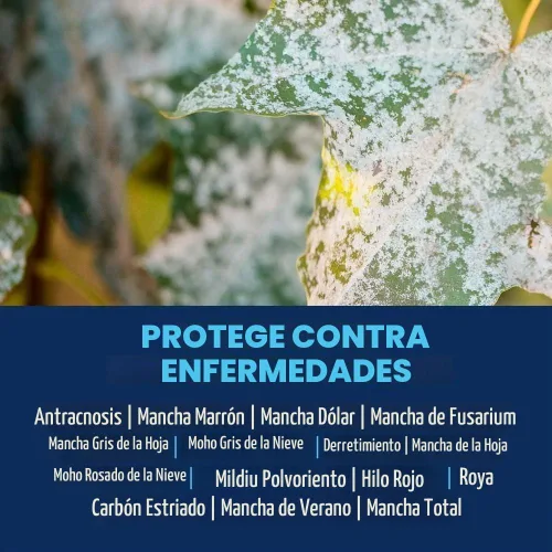 Vista 2 de BioAdvanced Control de Hongos para Césped en Gránulos, 10 libras