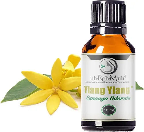 Vista 11 de Aceite esencial orgánico Ylang Ylang completo – Aceite esencial certificado por USDA Aceite esencial 100% puro y natural para el cuidado