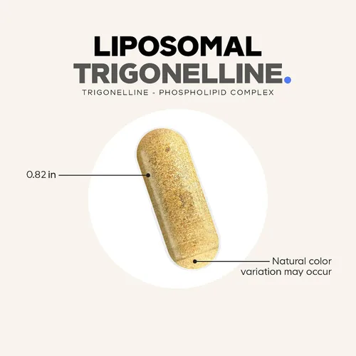 Vista 8 de Codeage Trigonelina liposomal - 250 mg por cápsula - Suministro de 3 meses - Alcaloide a base de plantas - Entrega liposomal para biodisponibilidad