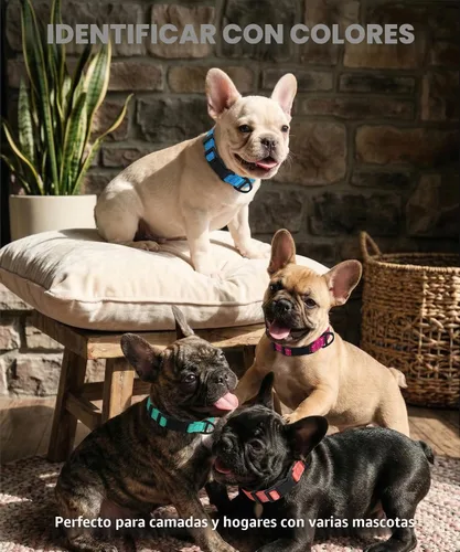 Vista 6 de TagME Collares de nailon reflectantes para perros, collar ajustable clásico para mascotas con hebilla de liberación rápida para cachorros, rosa Rosa