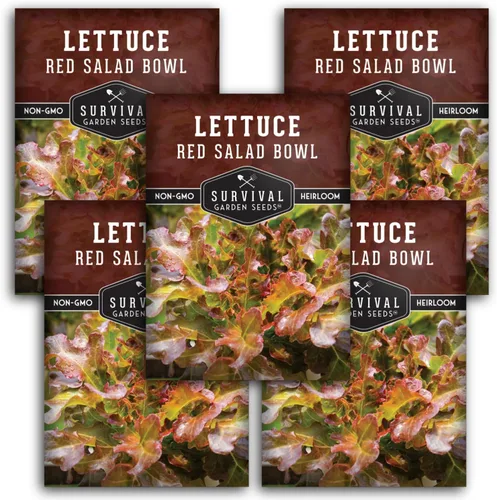 Vista 11 de Semillas de lechuga roja para plantar, 1 paquete con instrucciones para plantar y cultivar lechuga de hoja suelta en tu huerto casero, variedad