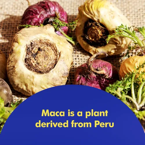 Vista 6 de Santo Remedio Maca, ayuda a mantener niveles de energía saludables, suplemento dietético, 750 mg por porción, vegetariano, sin sabores artificiales