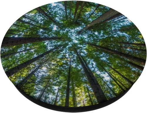 Vista 2 de Nature Giant Redwood Trees PopSockets - Agarre y soporte para teléfonos y tabletas, Negro