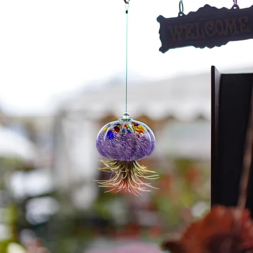 Vista 8 de H&D HYALINE & DORA Terrario de cristal soplado a mano colgante con diseño de medusa de aire para plantas de aire, decoración para jardín, porche