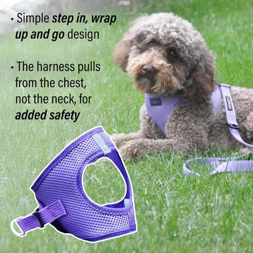 Vista 4 de Doggie Design Arnés para perro – Arnés sin estrangulamiento para mascotas, chaleco para perro, malla de poliéster, diseño simple, chaleco