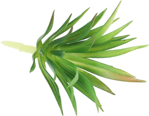 Vista 3 de PATIKIL Plantas suculentas artificiales, paquete de 2 plantas falsas pequeñas, plantas suculentas falsas sin maceta para decoración del jardín