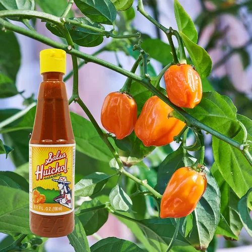 Vista 7 de Salsa Huichol Salsa picante Habanera (1 botella de 6.5 onzas)