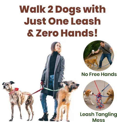 Vista 5 de Correa de perro manos libres para 2 perros con elástico y cinturón Diseño sin enredos con asas acolchadas, costuras reflectantes, cinturón