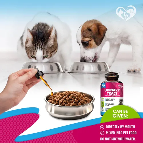 Vista 5 de Tratamiento de Infección del Tracto Urinario para Gatos y Perros y Medicina Natural para UTI con Arándano y D-Manosa - Soporte para Riñón + Vejiga