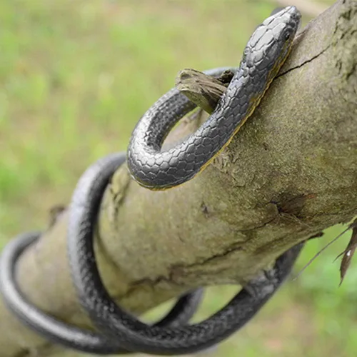 Vista 6 de Outee 7 serpientes de goma realistas – Juguetes falsos de serpiente negra de 15 a 47.2 pulgadas para accesorios de jardín, pájaros asustadores