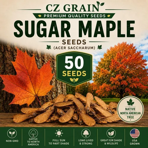 Vista 9 de CZ Grain Semillas para plantar, 40 pequeñas mezclas de calabaza