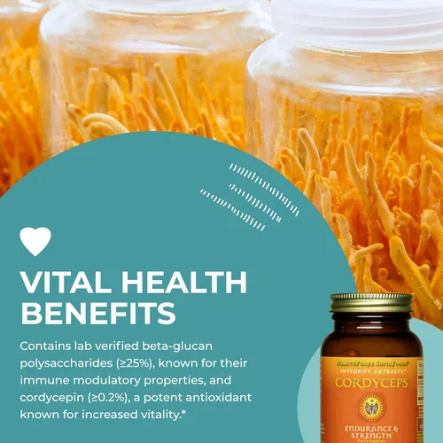 Vista 5 de HEALTHFORCE SUPERFOODS Integrity Extracts Cordyceps - Cápsulas - 90 Cápsulas Veganas