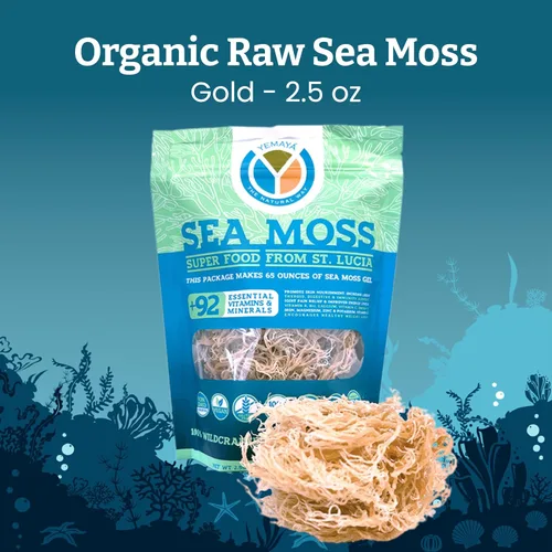 Vista 2 de Yemayá - Musgo marino orgánico seco, suplemento de musgo marino orgánico, musgo marino crudo elaborado en forma silvestre para elevar la inmunidad