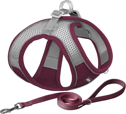 Vista 22 de AIITLE Arnés para perro, arnés sin tirones con correa, chaleco reflectante ajustable para perro, arnés para gatos a prueba de escape, caminar al