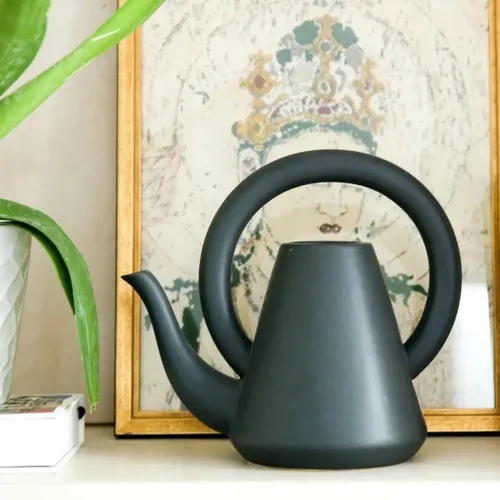 Vista 4 de Flora Bunda Regadera de cerámica negra mate de 10 pulgadas para decoración interior casera